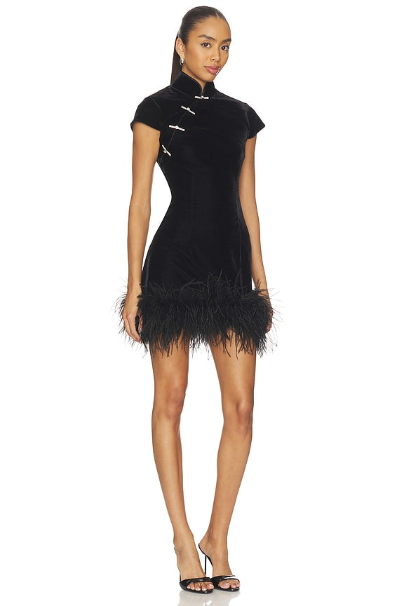 Morgan Velvet Mini Dress