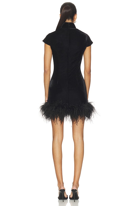 Morgan Velvet Mini Dress