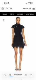 Morgan Velvet Mini Dress