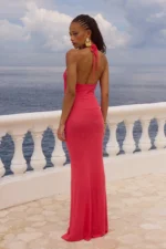 NIKI MAXI DRESS - Image 3